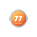 77 Melon & Mint Light